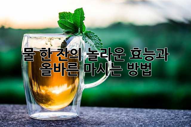 물 한 잔의 놀라운 효능과 올바른 마시는 방법