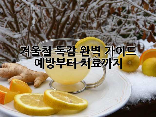 겨울철 독감 완벽 가이드: 예방부터 치료까지