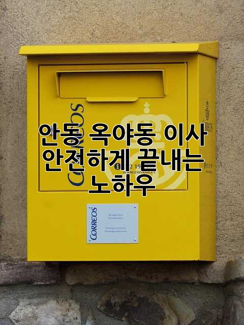 안동 옥야동 이사, 안전하게 끝내는 노하우!