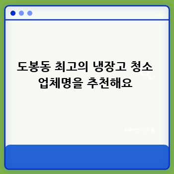 도봉동 최고의 냉장고 청소 업체명을 추천해요