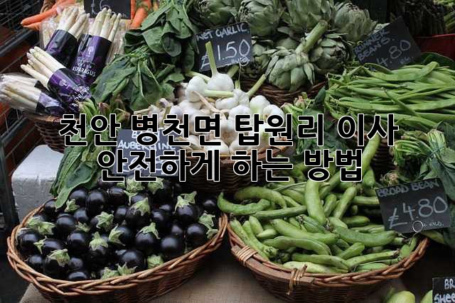 천안 병천면 탑원리 이사, 안전하게 하는 방법