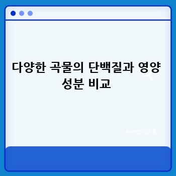 다양한 곡물의 단백질과 영양 성분 비교