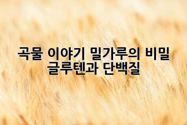 곡물 이야기: 밀가루의 비밀, 글루텐과 단백질