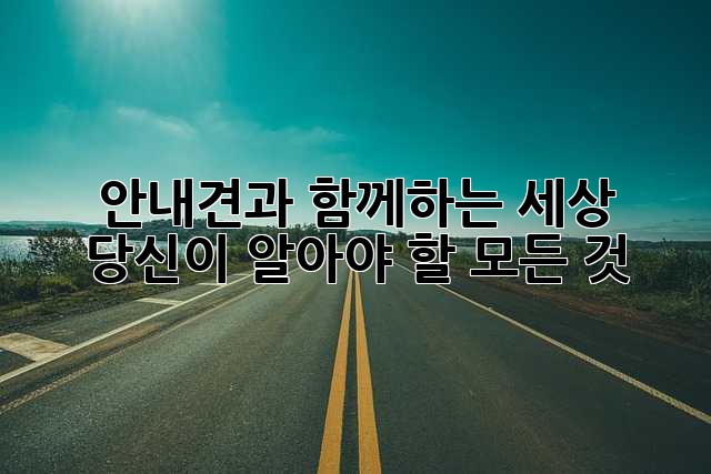 안내견과 함께하는 세상: 당신이 알아야 할 모든 것
