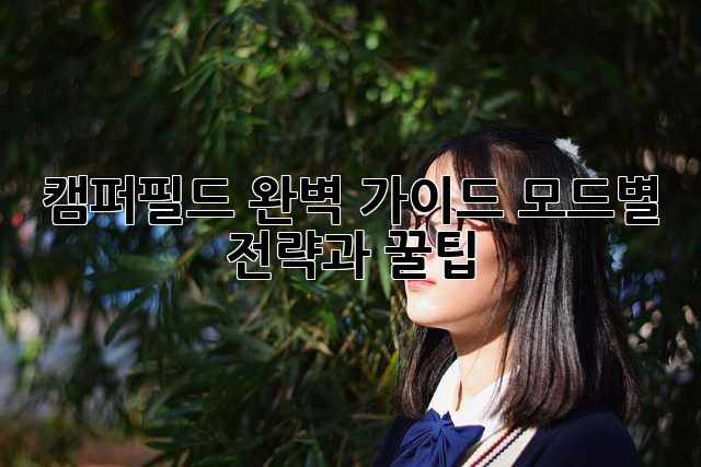 캠퍼필드 완벽 가이드: 모드별 전략과 꿀팁!