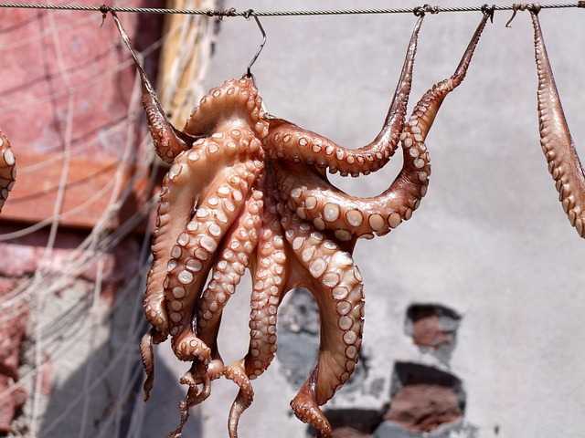술안주 끝판왕! 마른오징어무침 레시피 & 정보 완벽 가이드
