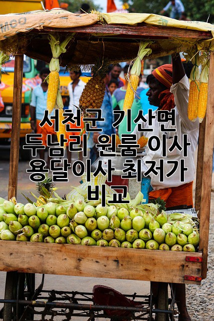 서천군 기산면 두남리 원룸 이사, 용달이사 최저가 비교!
