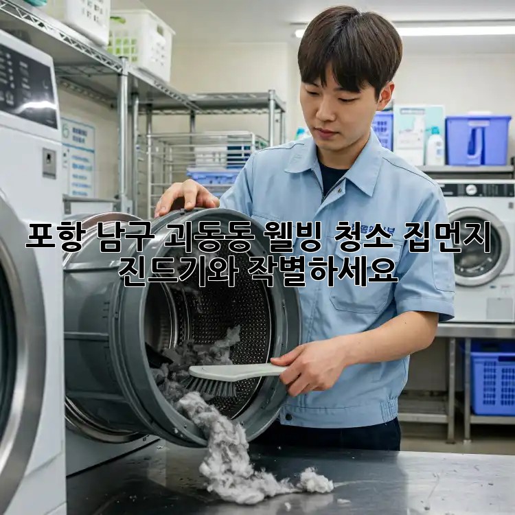 포항 남구 괴동동 웰빙 청소: 집먼지 진드기와 작별하세요!