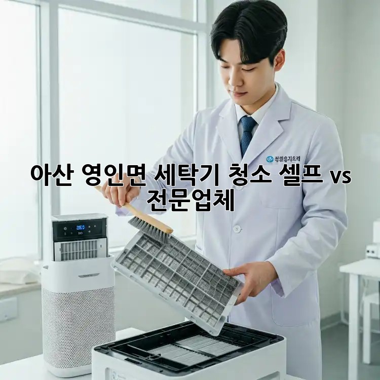 아산 영인면 세탁기 청소, 셀프 vs 전문업체?