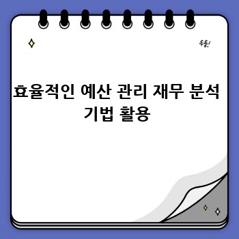 효율적인 예산 관리 재무 분석 기법 활용