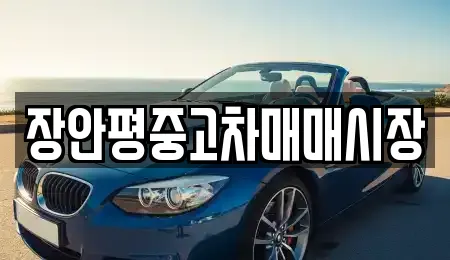 장안평중고차매매시장