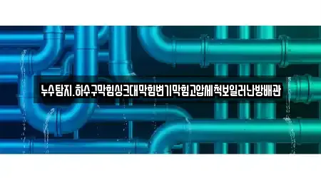 누수탐지.하수구막힘싱크대막힘변기막힘고압세척보일러난방배관