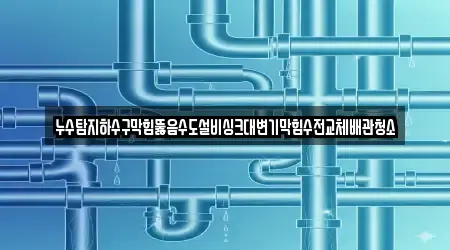 누수탐지하수구막힘뚫음수도설비싱크대변기막힘수전교체배관청소