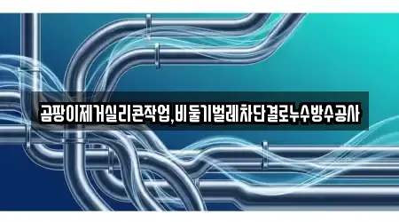 곰팡이제거실리콘작업,비둘기벌레차단결로누수방수공사