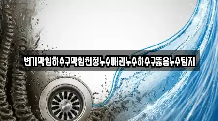변기막힘하수구막힘천정누수배관누수하수구뚫음누수탐지