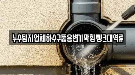 누수탐지업체하수구뚫음변기막힘씽크대역류