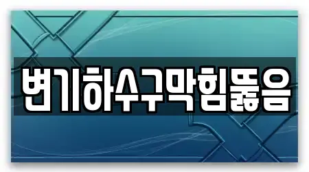 변기하수구막힘뚫음