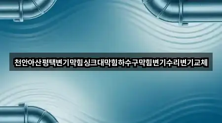 천안아산평택변기막힘싱크대막힘하수구막힘변기수리변기교체