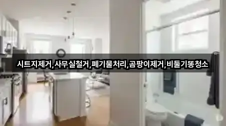 시트지제거,사무실철거,폐기물처리,곰팡이제거,비둘기똥청소