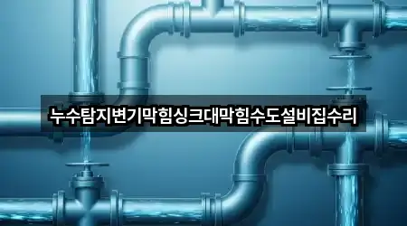 누수탐지변기막힘싱크대막힘수도설비집수리