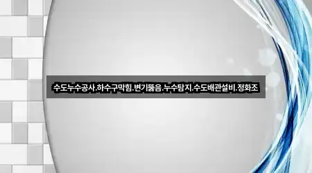 수도누수공사.하수구막힘.변기뚫음.누수탐지.수도배관설비.정화조
