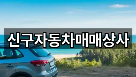 신구자동차매매상사