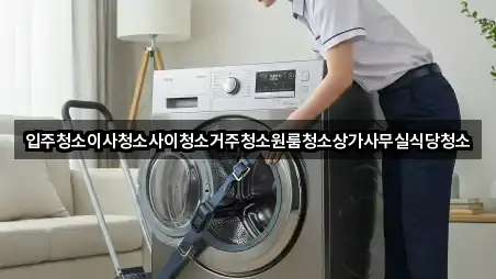 입주청소이사청소사이청소거주청소원룸청소상가사무실식당청소