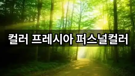 컬러 프레시아 퍼스널컬러