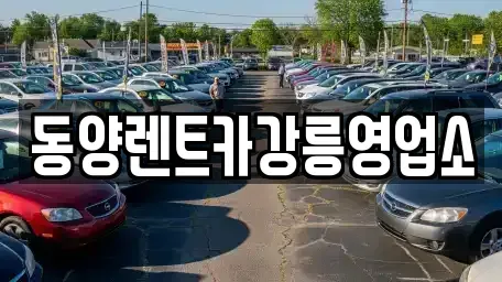 강원 강릉시 난곡동 렌트카 전문 동양렌트카강릉영업소