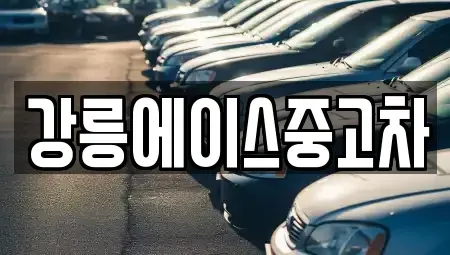 강원 강릉시 난곡동 중고차 전문 강릉에이스중고차