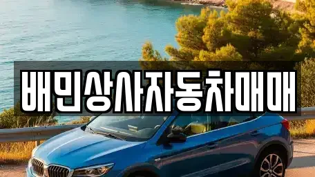 강원 강릉시 병산동 중고차 전문 배민상사자동차매매