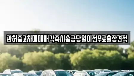 강원 강릉시 장현동 중고차 전문 관허중고차매매매각즉시송금당일이전무료출장견적