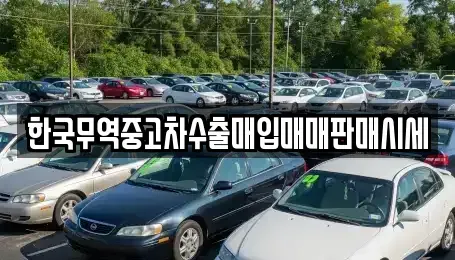 강원 강릉시 장현동 중고차매입 전문 한국무역중고차수출매입매매판매시세