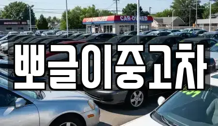 강원 동해시 만우동 중고차매매 전문 뽀글이중고차