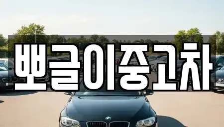 강원 삼척시 근산동 중고차매매 전문 뽀글이중고차