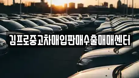 강원 삼척시 사직동 중고차 전문 김프로중고차매입판매수출매매센터