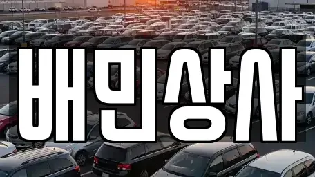 강원 삼척시 사직동 중고차 전문 배민상사