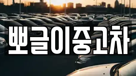 강원 삼척시 사직동 중고차 전문 뽀글이중고차