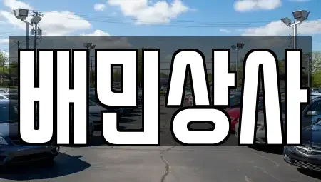 강원 삼척시 우지동 중고차매매 전문 배민상사