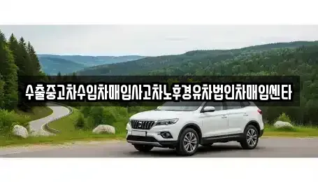 강원 영월군 중고차매입 전문 수출중고차수입차매입사고차노후경유차법인차매입센타