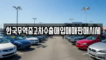 강원 영월군 중고차매입 전문 한국무역중고차수출매입매매판매시세