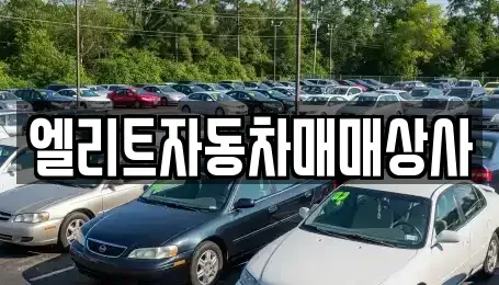 강원 원주시 중고차 전문 엘리트자동차매매상사