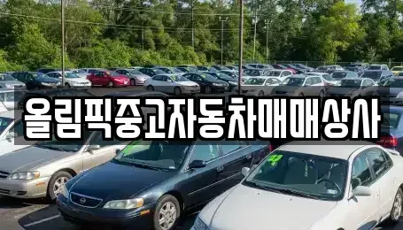 강원 원주시 중고차 전문 올림픽중고자동차매매상사