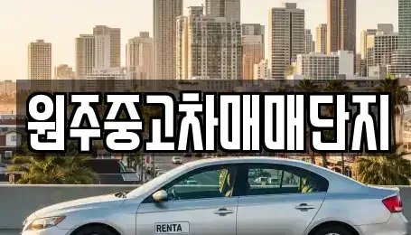 강원 원주시 중고차 전문 원주중고차매매단지