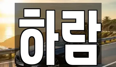 강원 원주시 학성동 장기렌트카 전문 하람