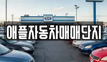 강원 원주시 학성동 중고차 전문 애플자동차매매단지