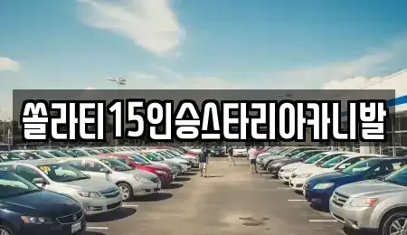 강원 춘천시 소양로3가 렌트카 전문 쏠라티15인승스타리아카니발