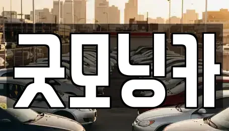 강원 춘천시 소양로3가 중고차매매 전문 굿모닝카