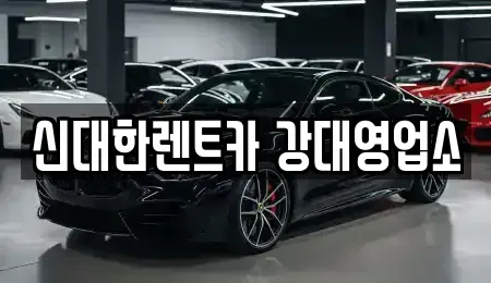 강원 춘천시 효자동 렌트카 전문 신대한렌트카 강대영업소