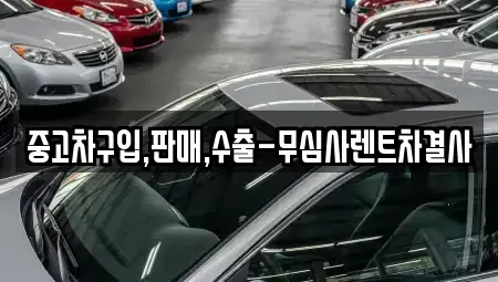 강원 춘천시 효자동 중고차 전문 중고차구입,판매,수출-무심사렌트차결사